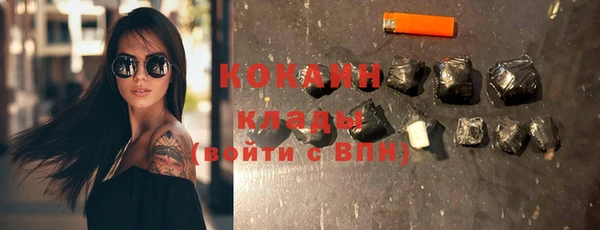 крисы Белокуриха