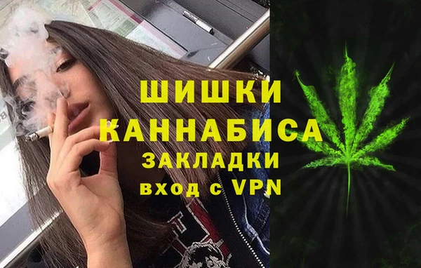 крисы Белокуриха
