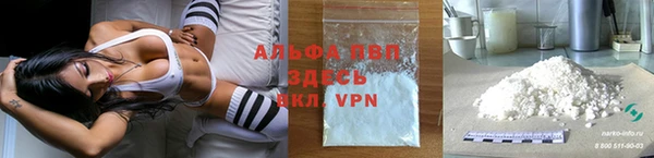 крисы Белокуриха