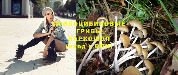 не бодяженный Беломорск