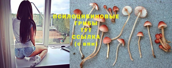 не бодяженный Беломорск